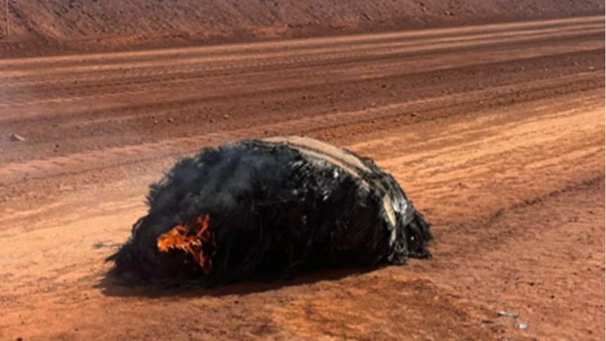 Greg Egan tweet media