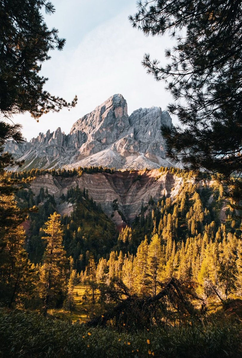 Dolomiti...i colori dell'autunno 🤩🤩🤩