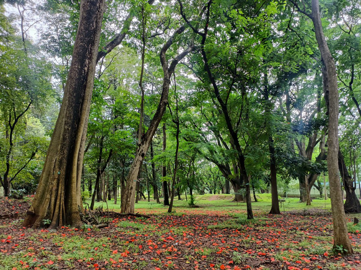 Nihal Shetty tweet media