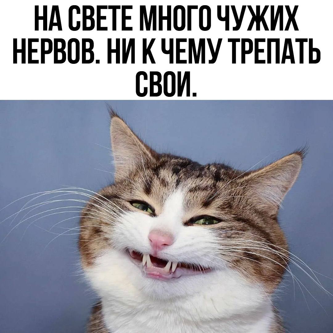 Всем привет!