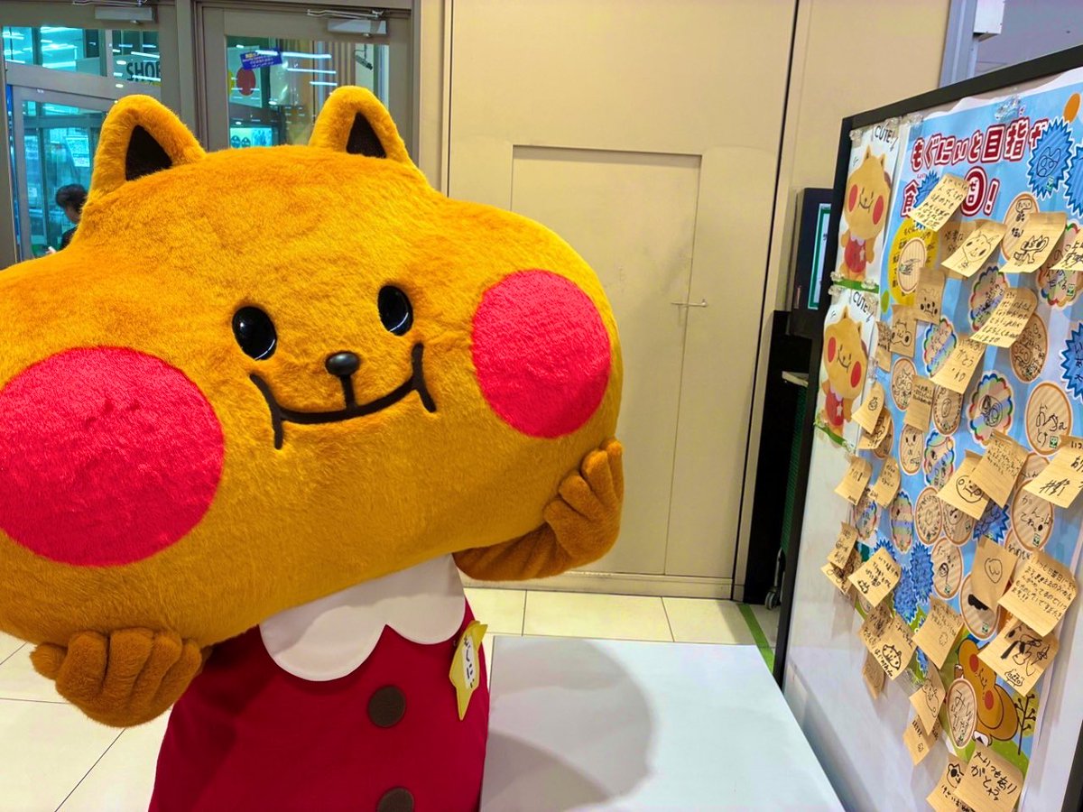 サミットストア公式 (@summitstore_co) / Posts / X