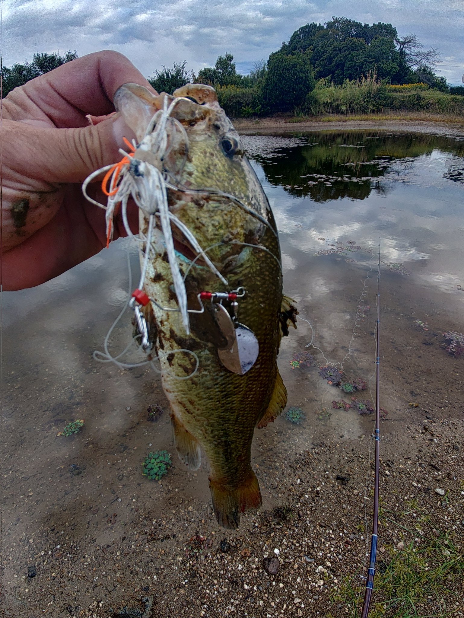 BRGD✖︎BAKSYN BUZZ BAIT 【完売極希少品】　2セット BRGD✖︎BAKSYN BUZZ BAIT 【完売極希少品】 2セット BRGD