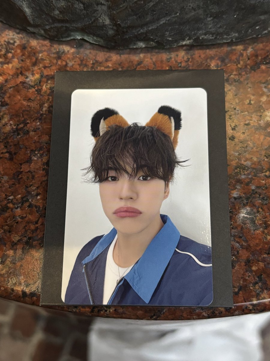 ︎︎ᜊﬞﬞ ･° tweet media