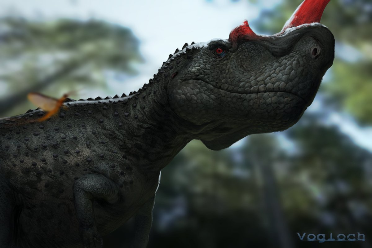 Ceratosaurus, a polar-bear sized dinosaur from the Morrison formation of North America. It rests in the cool shade of the forest. #paleoart