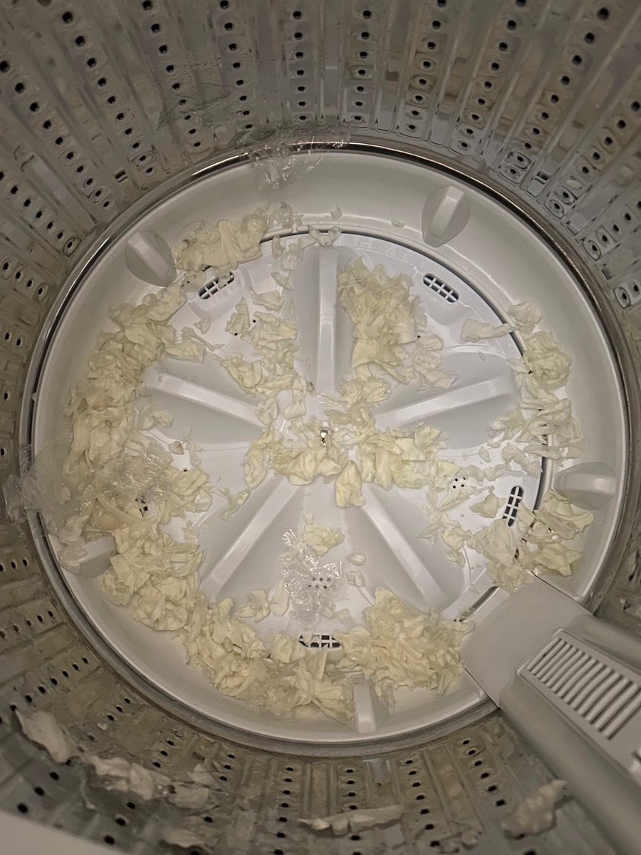 <a href="/kotomori_honoka/">小戸森 穂花</a> 今年の夏、本当になんでなのか自分でもわかんないけど、間違ってキャベツを洗濯してしまったことがあるから、その可能性を否めないんだよね。
いろんな意味でショックだった。