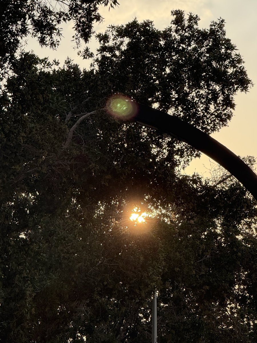 __tothehell's tweet image. In love