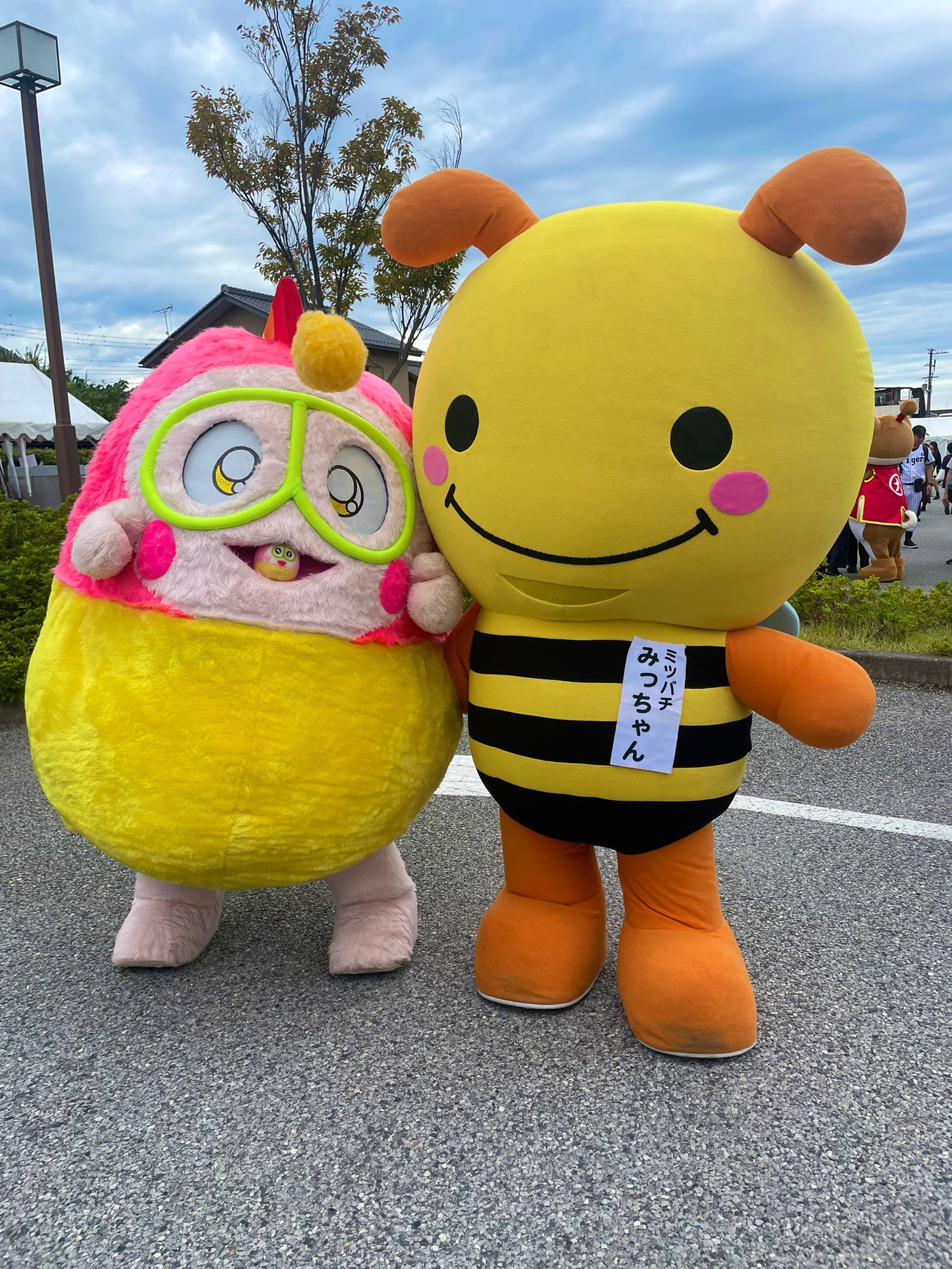 みっちゃん ミツバチみっちゃん【公式】 on X: 