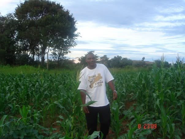 Brighton Chireka tweet media