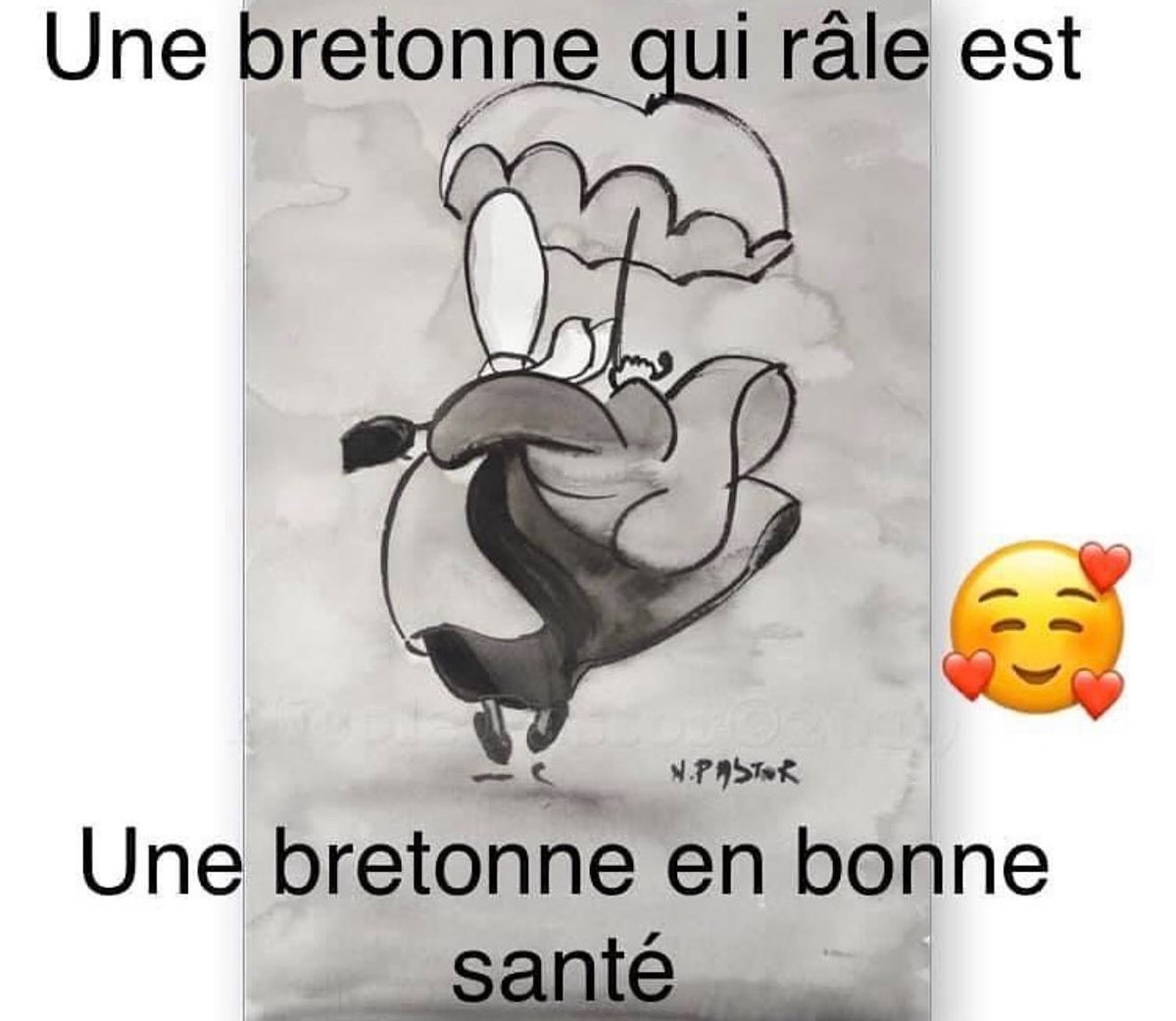 Dicton Breton 😇🥰😘 #Bretagne