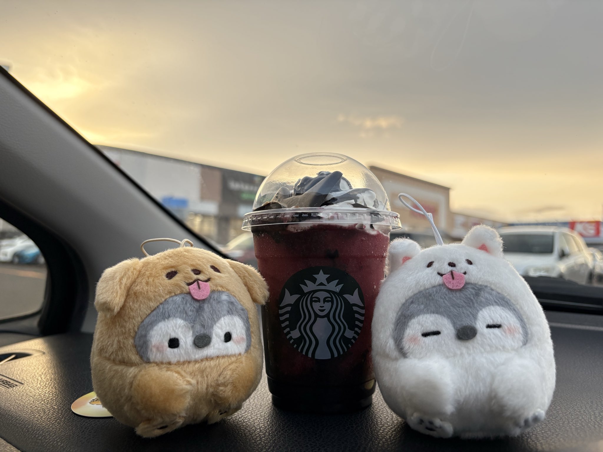 えっちゃん　オーダーページ AZONE INTERNATIONAL::えっくす☆きゅーと::商品詳細