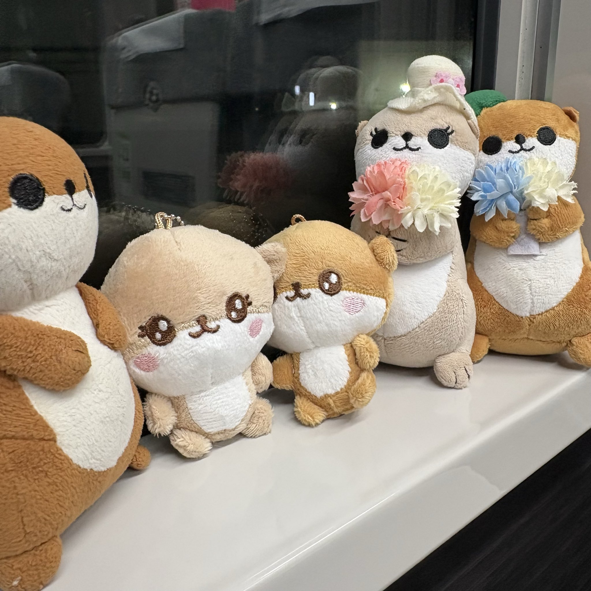 しろもふ🪿🦉🦆🫳🫲🍀🍠🍜🍓🍇☕️ on X: 