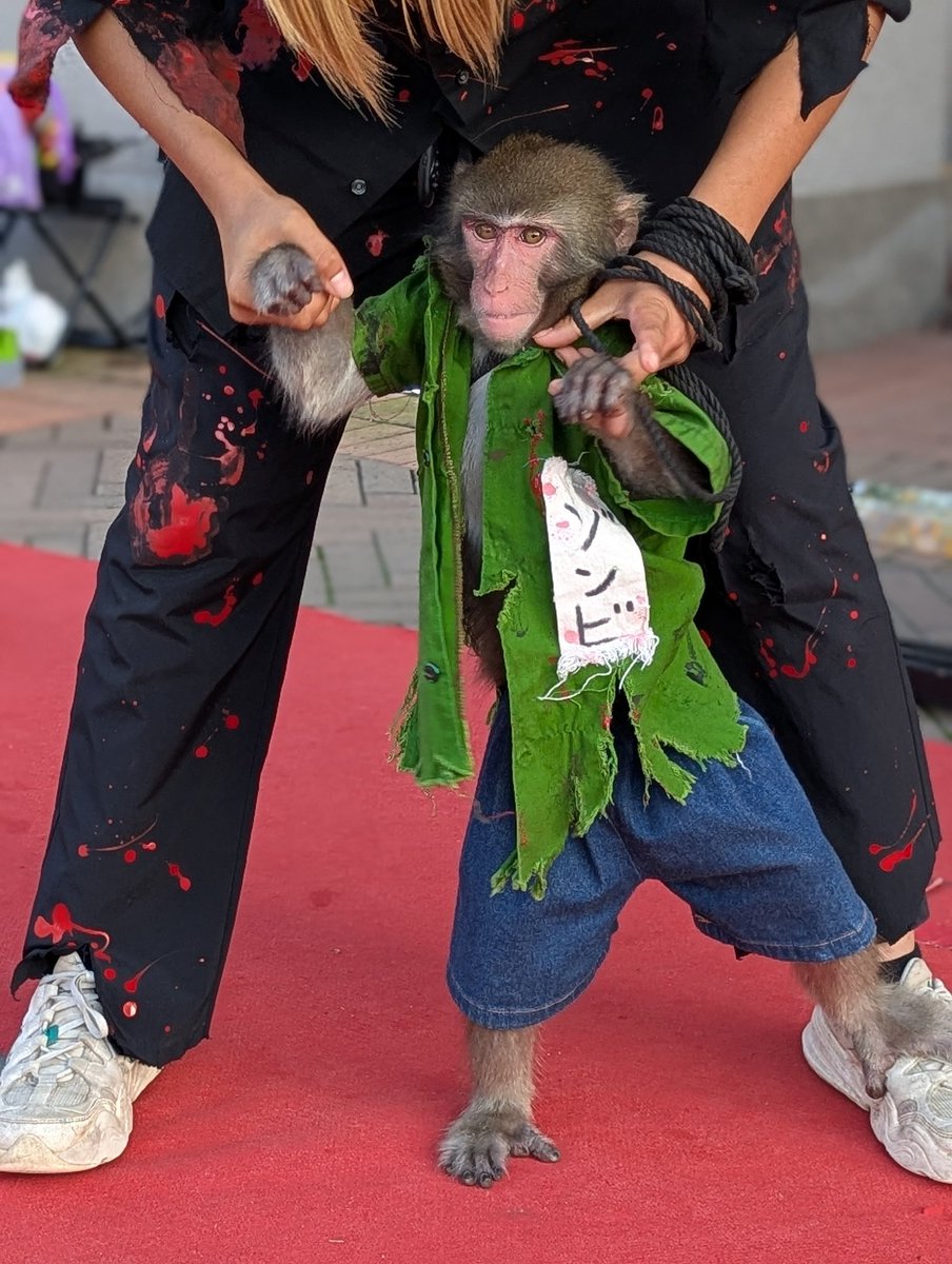 猿神 猿神 (さるがみ)とは【ピクシブ百科事典】