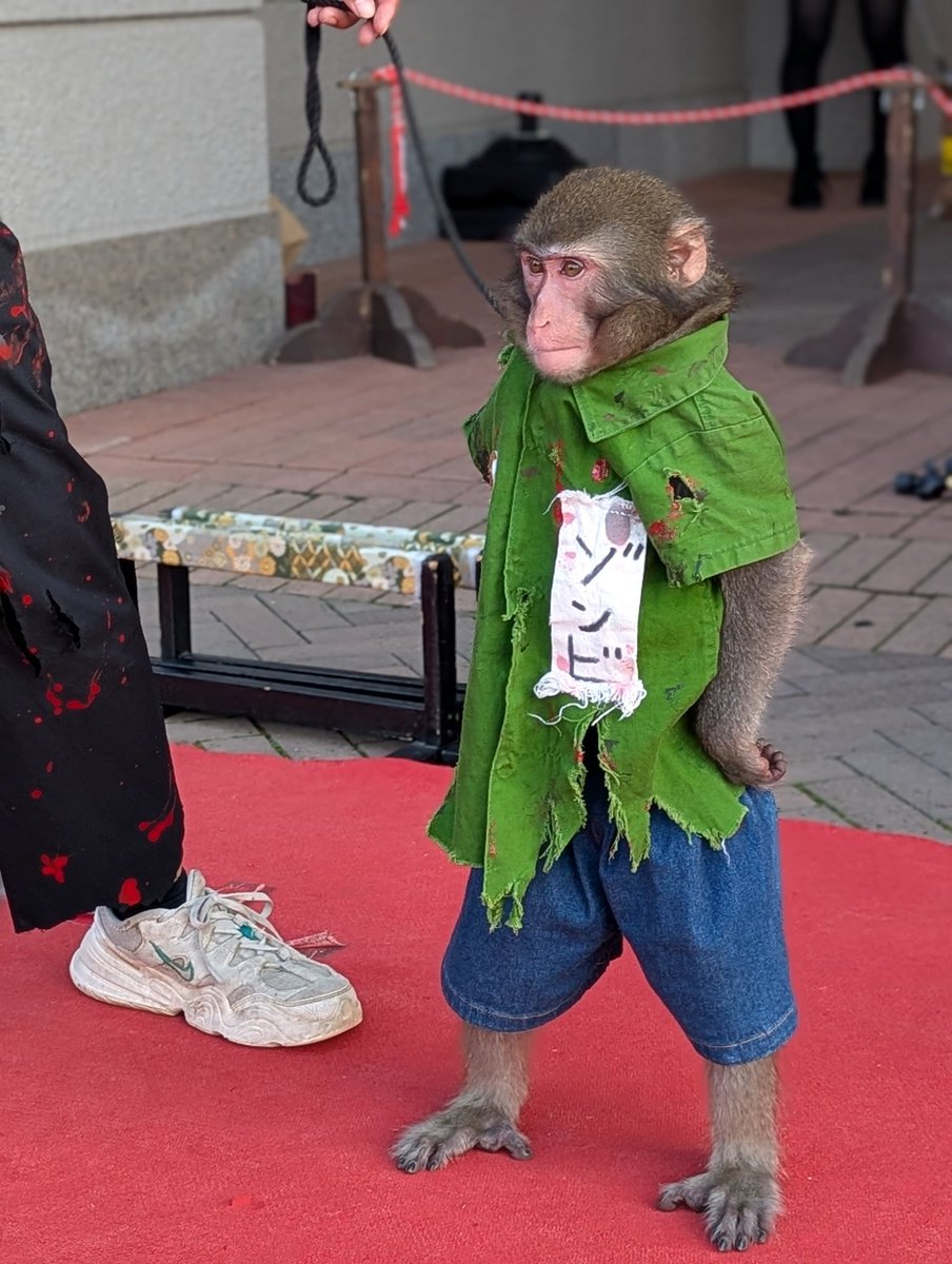 Gen-Ten (@0523_gen) / Posts / X