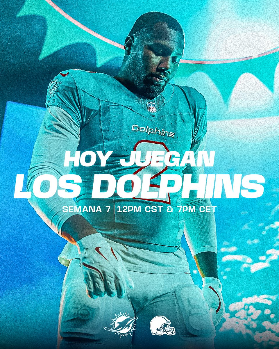 Dolphins en Español tweet media