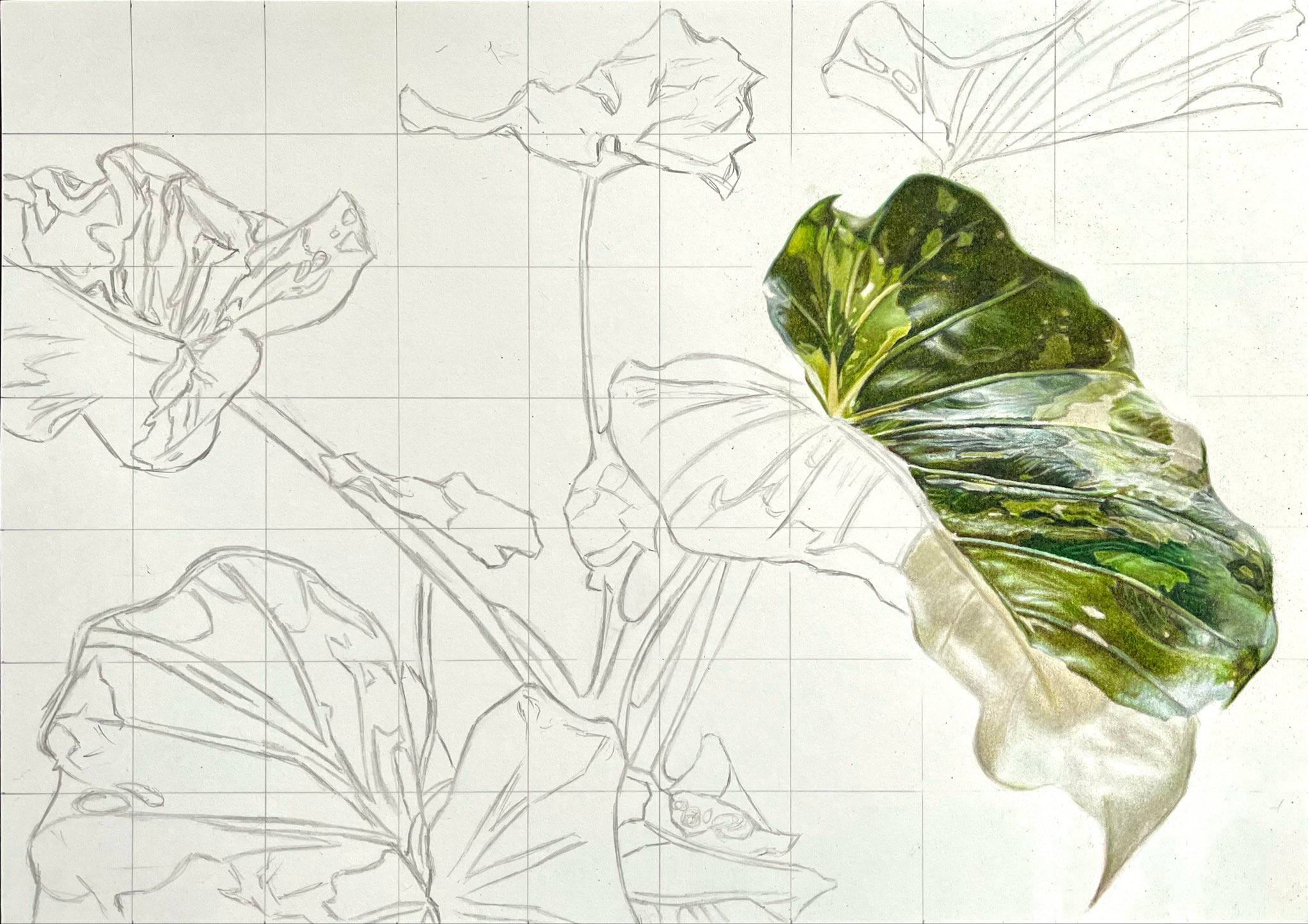 専用　色鉛筆画　原画　オーダーページです オーダーメイド色鉛筆画(A4サイズ) | ペットの肖像画屋さん