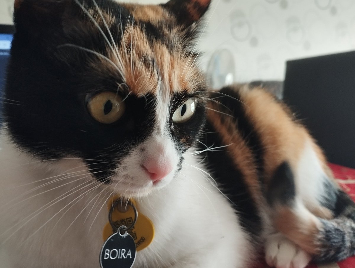 La "reina 👑" de la casa. 😂