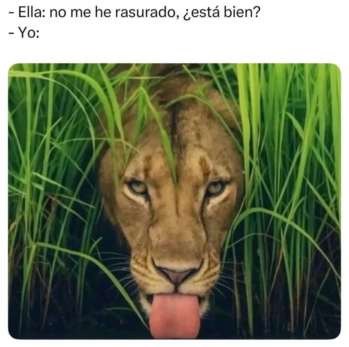 odailfredParaco's tweet photo. Dónde te quieran con pelo ahí es🔥 https://t.co/7YpbovmNum