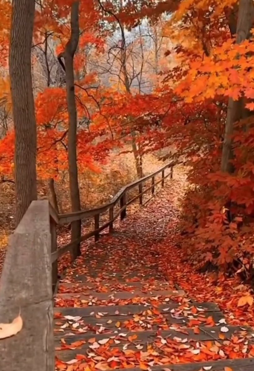 Just popping in to wish you a Happy Sunday .  Let the cozy days begin.