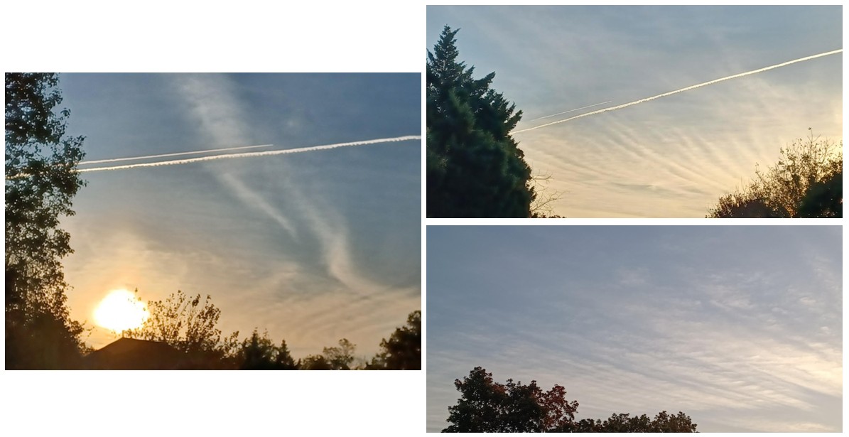 CCB_NOVA's tweet image. Toxic geoengineered skies in NoVA 10/19/25 8am.
Poisoning the American people is considered &apos;essential government services&apos;. 
#TheClearSkiesMovement #StopGeoengineering