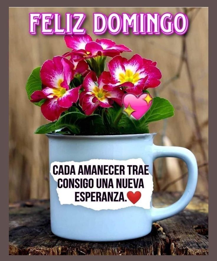 Alondra tweet media