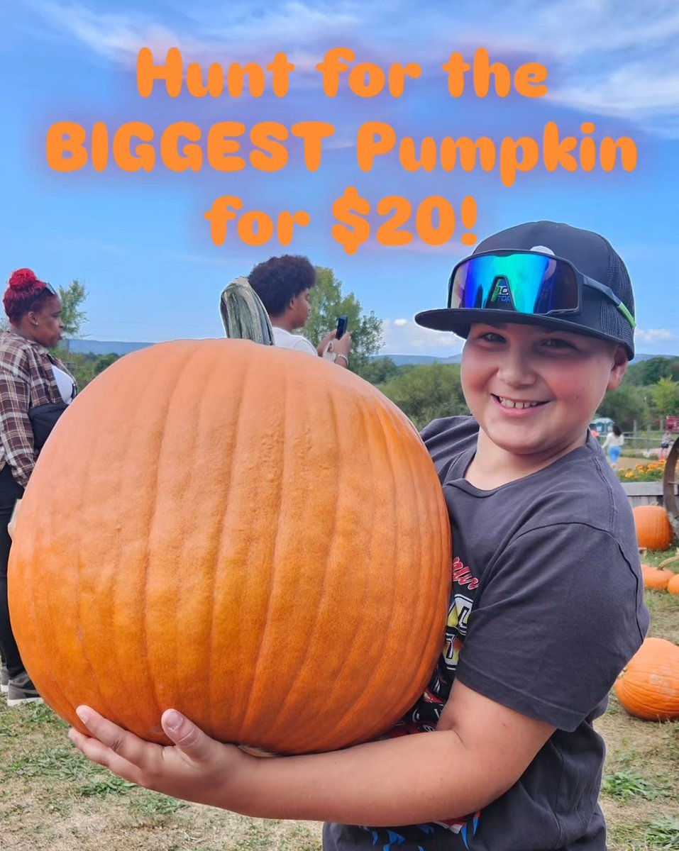 HurdsFamilyFarm's tweet photo. Come Hunt for the BIGGEST Pumpkin You Can Find for $20! 🤩🎃 
Also ask about the Family of 5 for $20!!! 

Live Music, Apples, Cafe, Farm Bar, Activities and So MUCH More! https://t.co/NIiXq68aTs