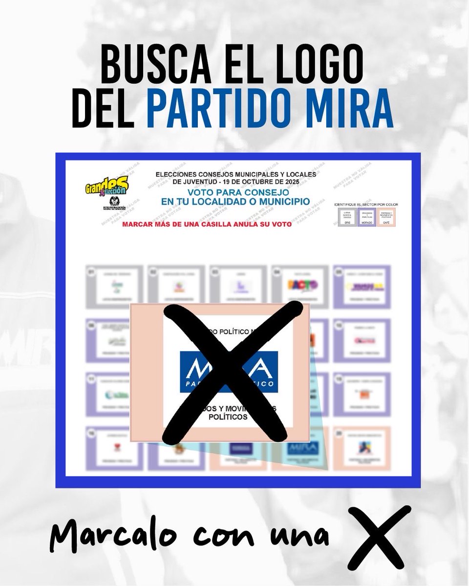 PartidoMIRA tweet picture