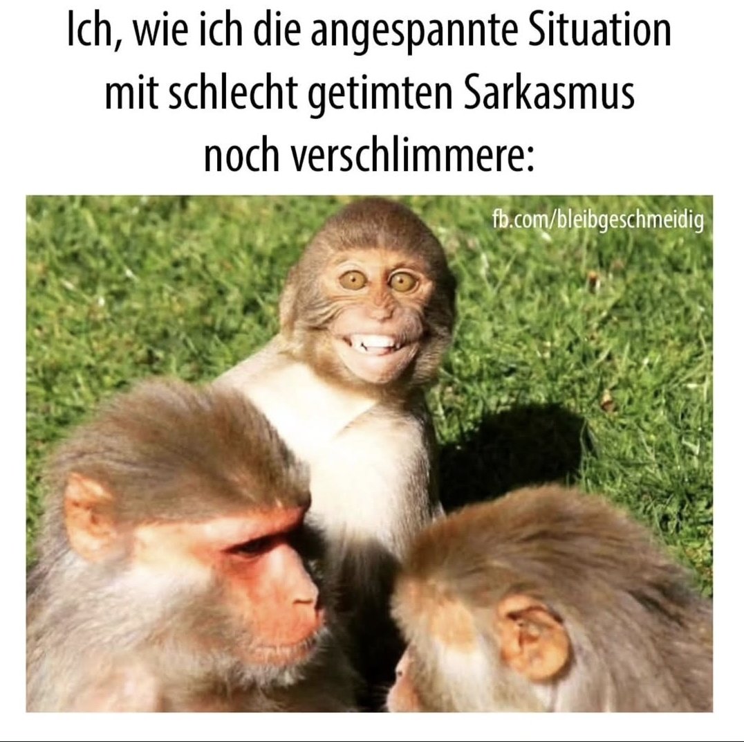 Marcus_mit_Zeh's tweet photo. 100% ich 😂 https://t.co/VzpIv47ysn
