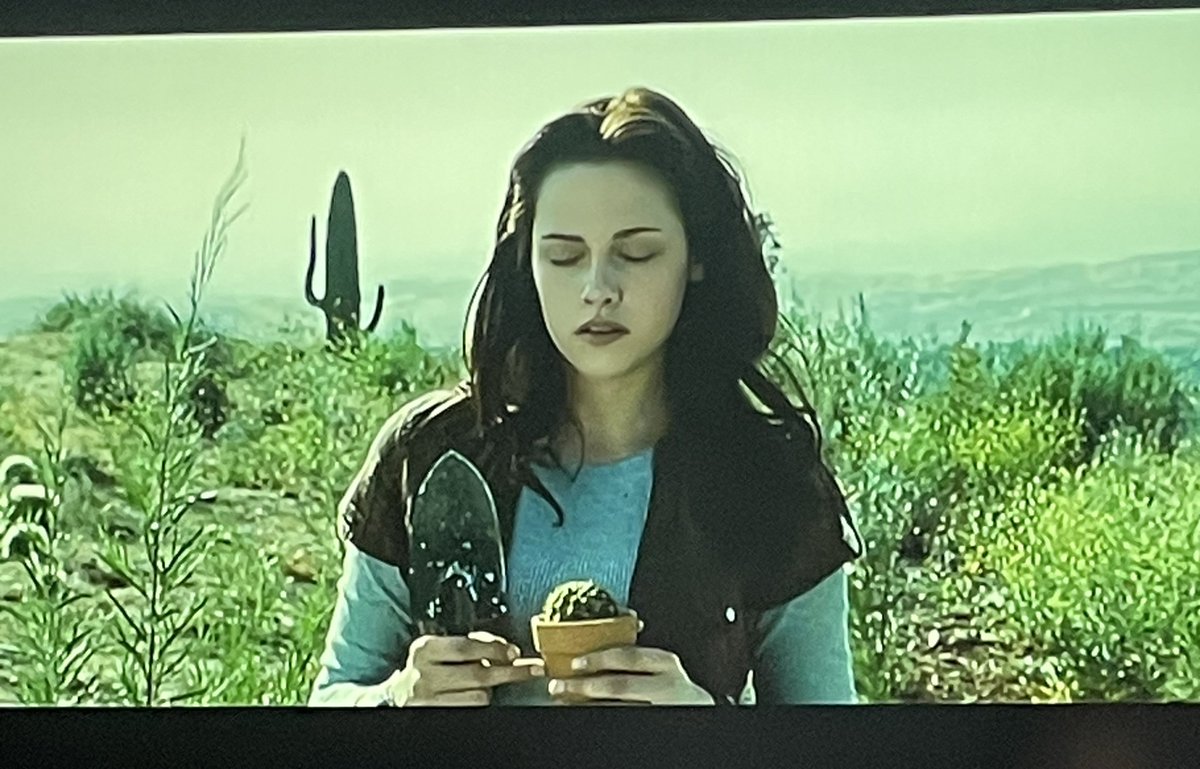 Herbsttradion 📺🍂🍁