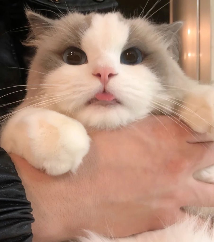 อ่ย เอริป่อยริน่านะ แอ่ก!