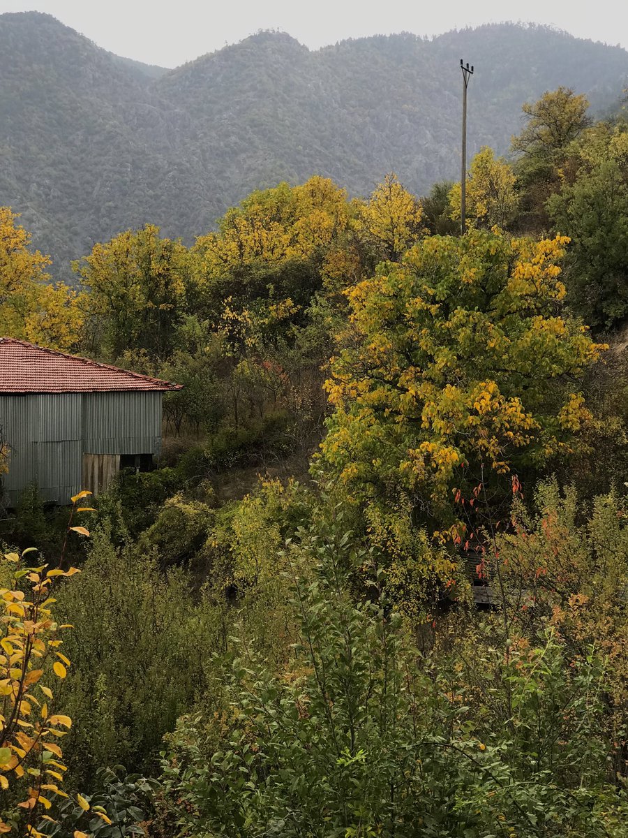 sonbaharın renkleri🍃🍂