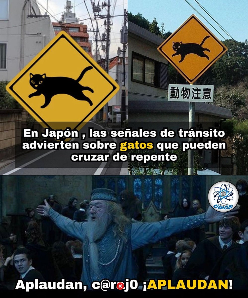 En varias calles de Japón, los conductores se topan con algo único: letreros amarillos que advierten sobre ¡gatos que podrían cruzar de repente! 🐈⚠️

No son bromas ni arte urbano, sino advertencias reales instaladas en barrios donde los felinos callejeros son parte del paisaje y