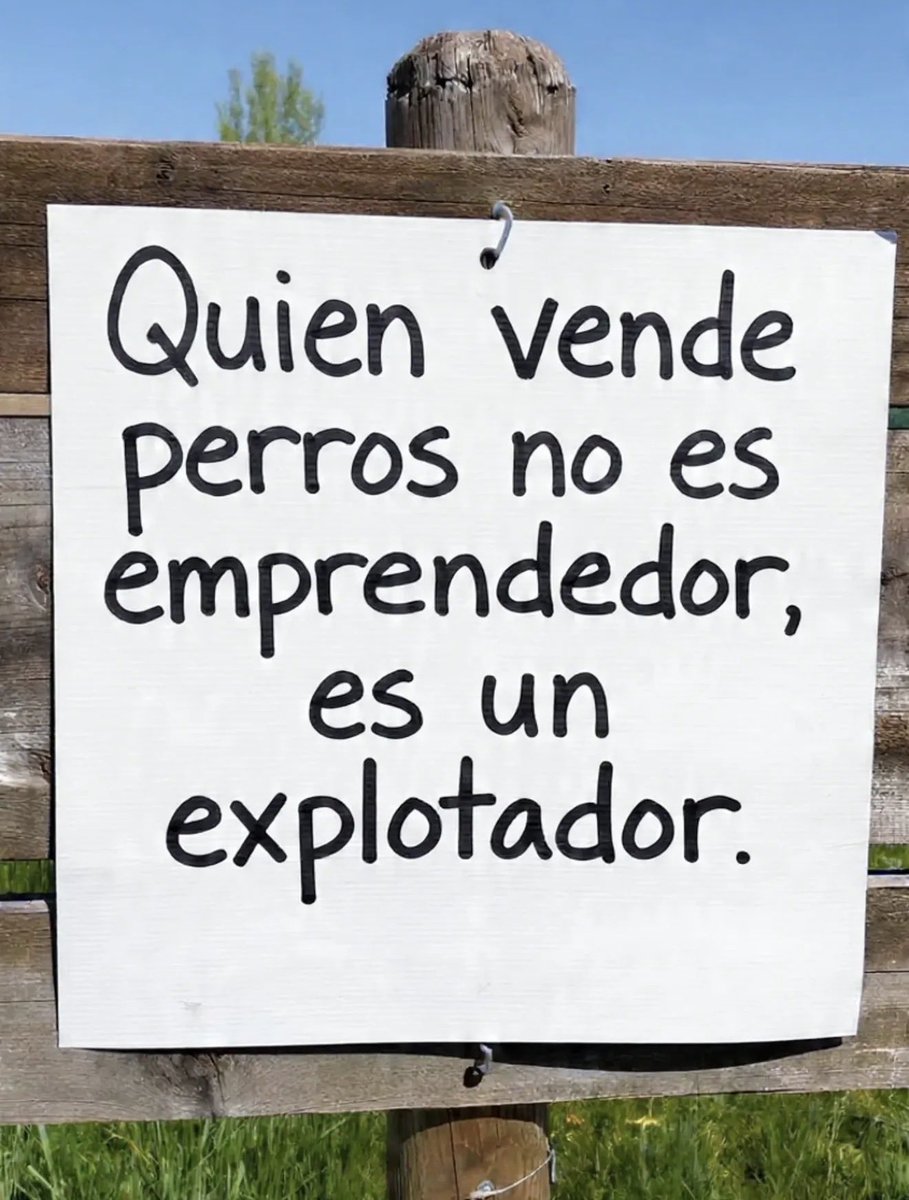 Rincón Curioso (@rincncuriosoo) on Twitter photo 