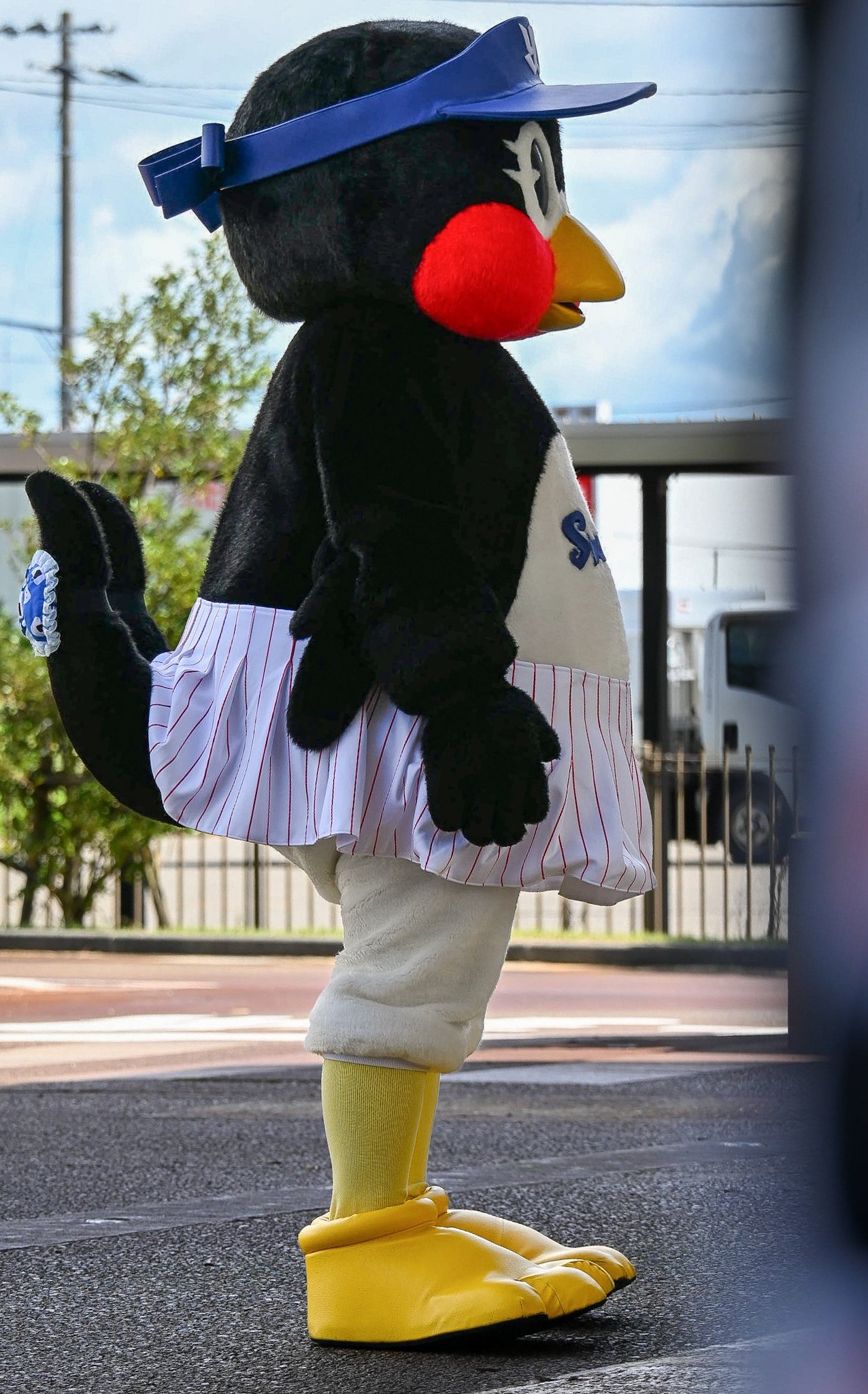 つばみちゃん つばみちゃん - Search / X