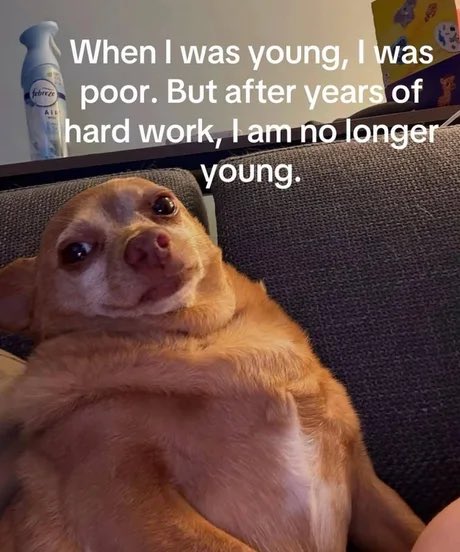 Next LvL 𐤊ash tweet media