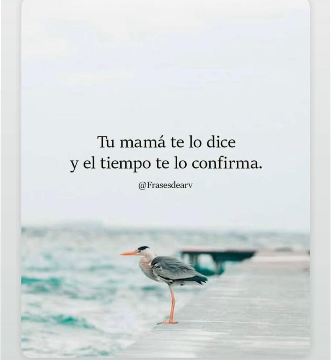 Feliz día para todas las madres y las personas que cumplan ese rol.
