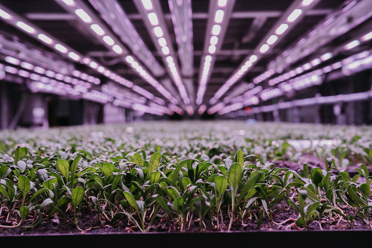 UKAgriTech's tweet image. Stay up to date with what we&apos;re up to by signing up to our monthly newsletter!

👉Subscribe here: ow.ly/m3yW50WUtlG

#agritech #agribusiness #controlledenvironments #roboticsandautomation #advancedsensors #AIanddatasystems #engineeringbiology