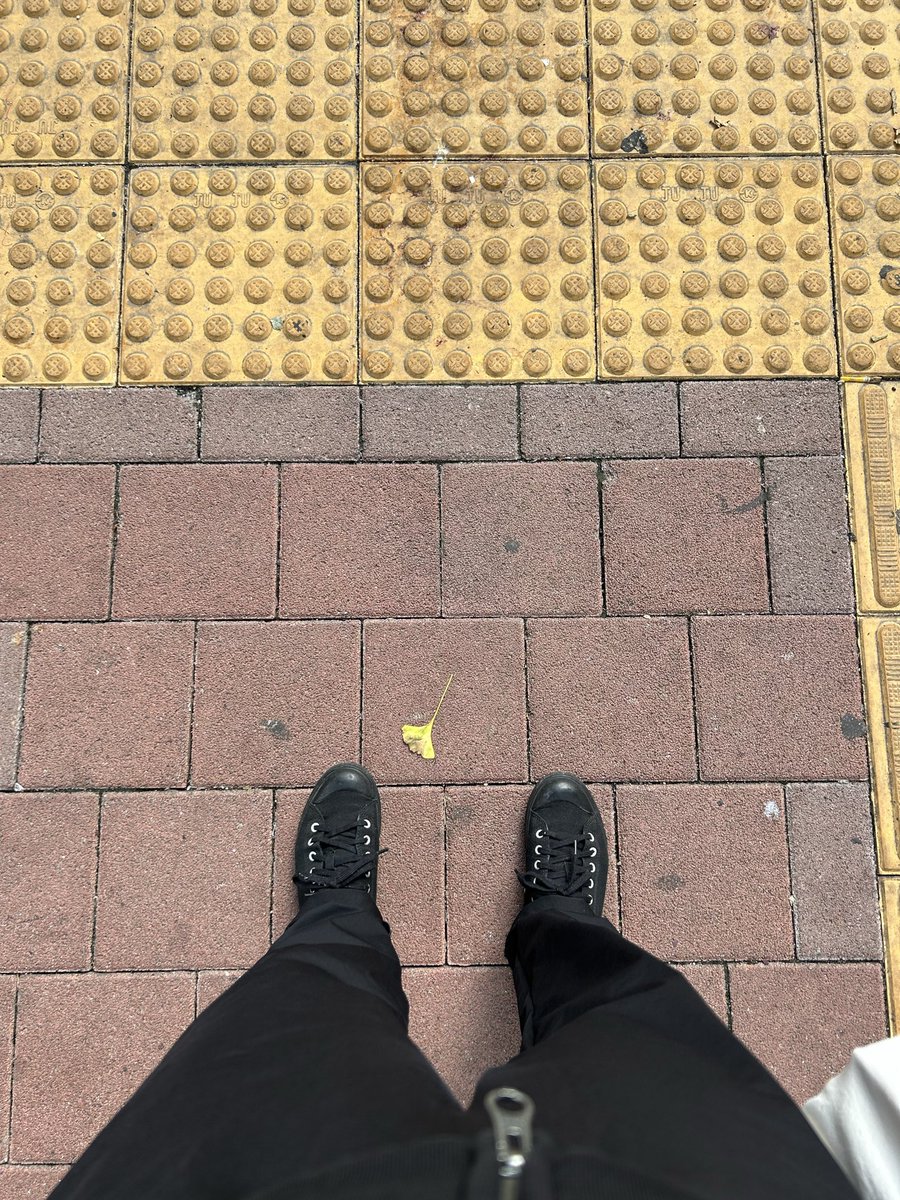 writeNjoy's tweet image. 가을이 왔구나.