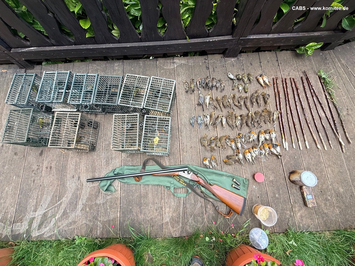 Committee Against Bird Slaughter (CABS) tweet media