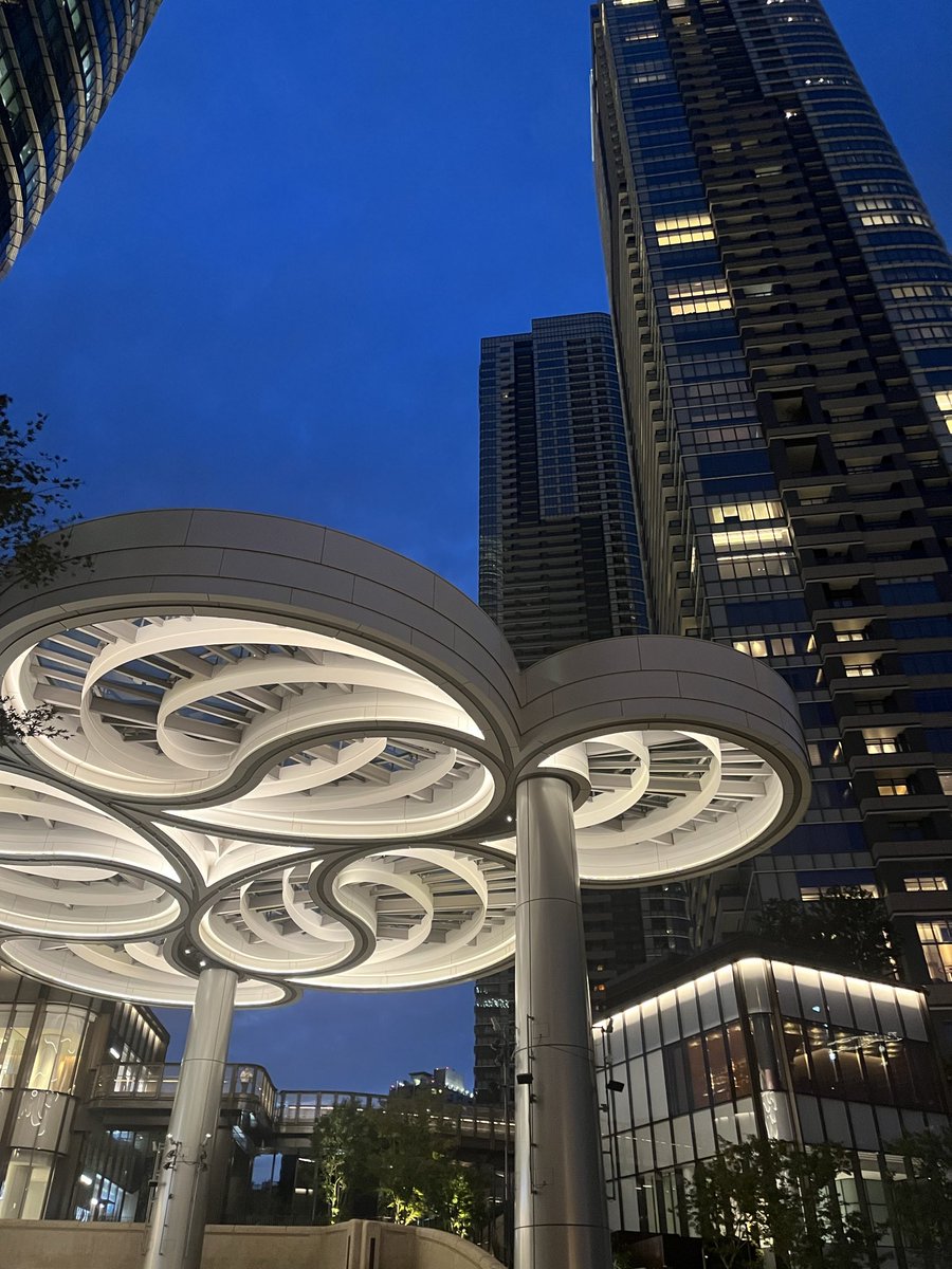 COLA | SynF🌙 tweet media