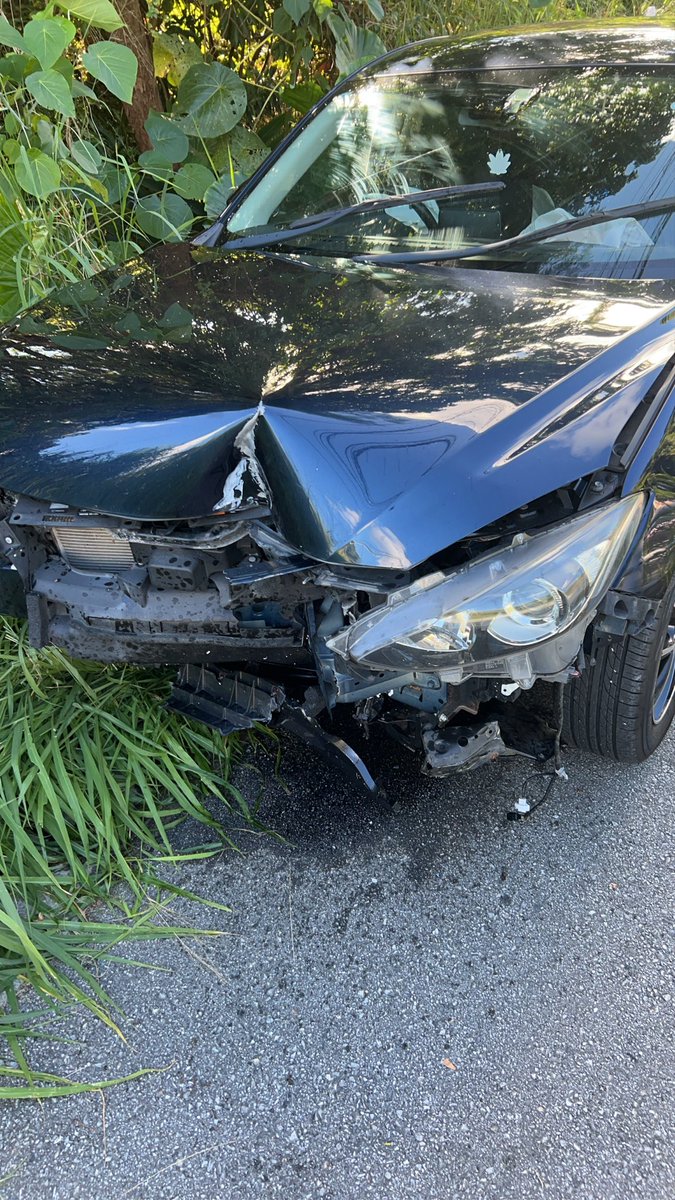 gazel_2580's tweet image. まじでなし