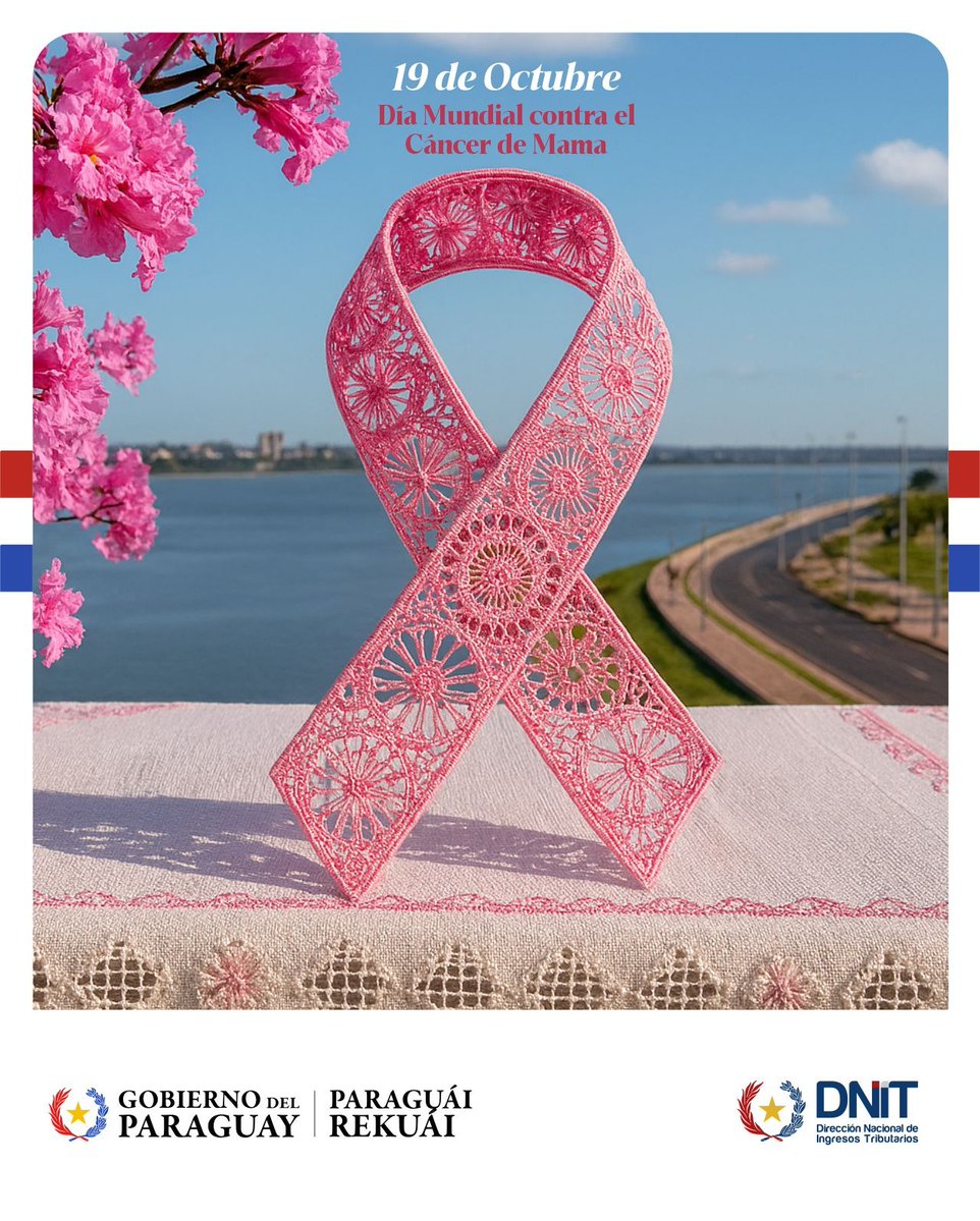DNITpy's tweet image. Detrás de cada lazo rosa hay una historia de lucha y esperanza. 💖
Hoy, Día Mundial contra el Cáncer de Mama, el mensaje es claro: La detección temprana salva vidas.
Tómate un tiempo para compartir este mensaje y crea conciencia.