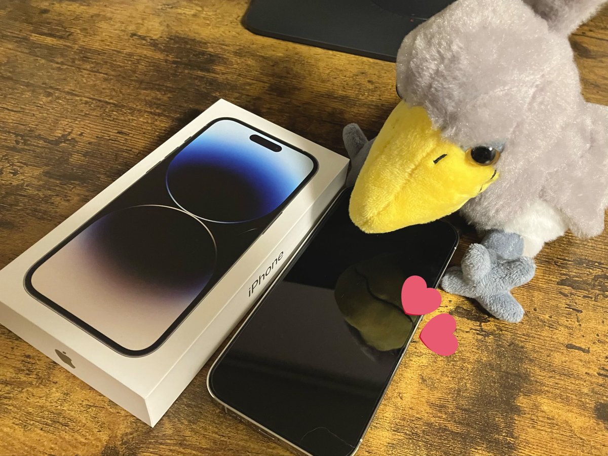 Risao🐥 (@Risaoume) / Posts / X