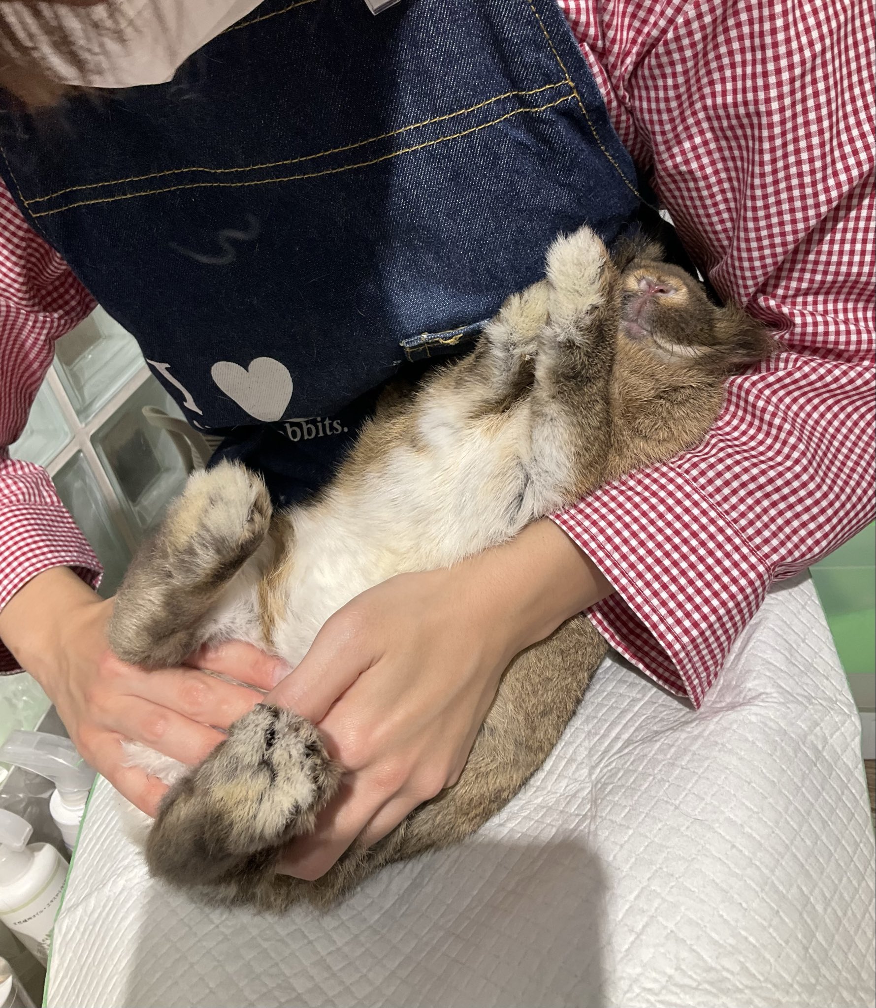 ☆あゆちゃん☆様お取り置きです。Ｎｏ．274 爪切り レジン うさぎ Lau_Au_Arte ラウルーカ・アウルーカ on X: 