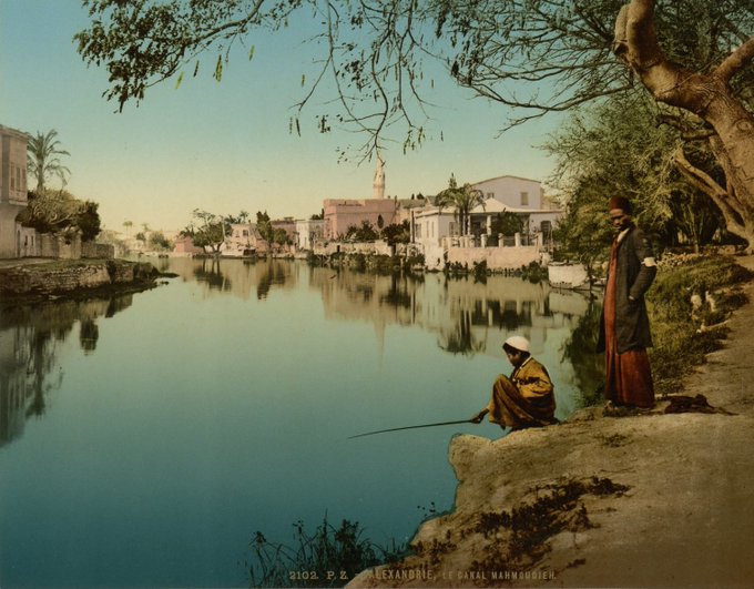 DurrellSociety's tweet image. Those long walks we took together, beside the sad velvet broth of the canal. . . .
— Lawrence Durrell, The Alexandria Quartet
Alexandria