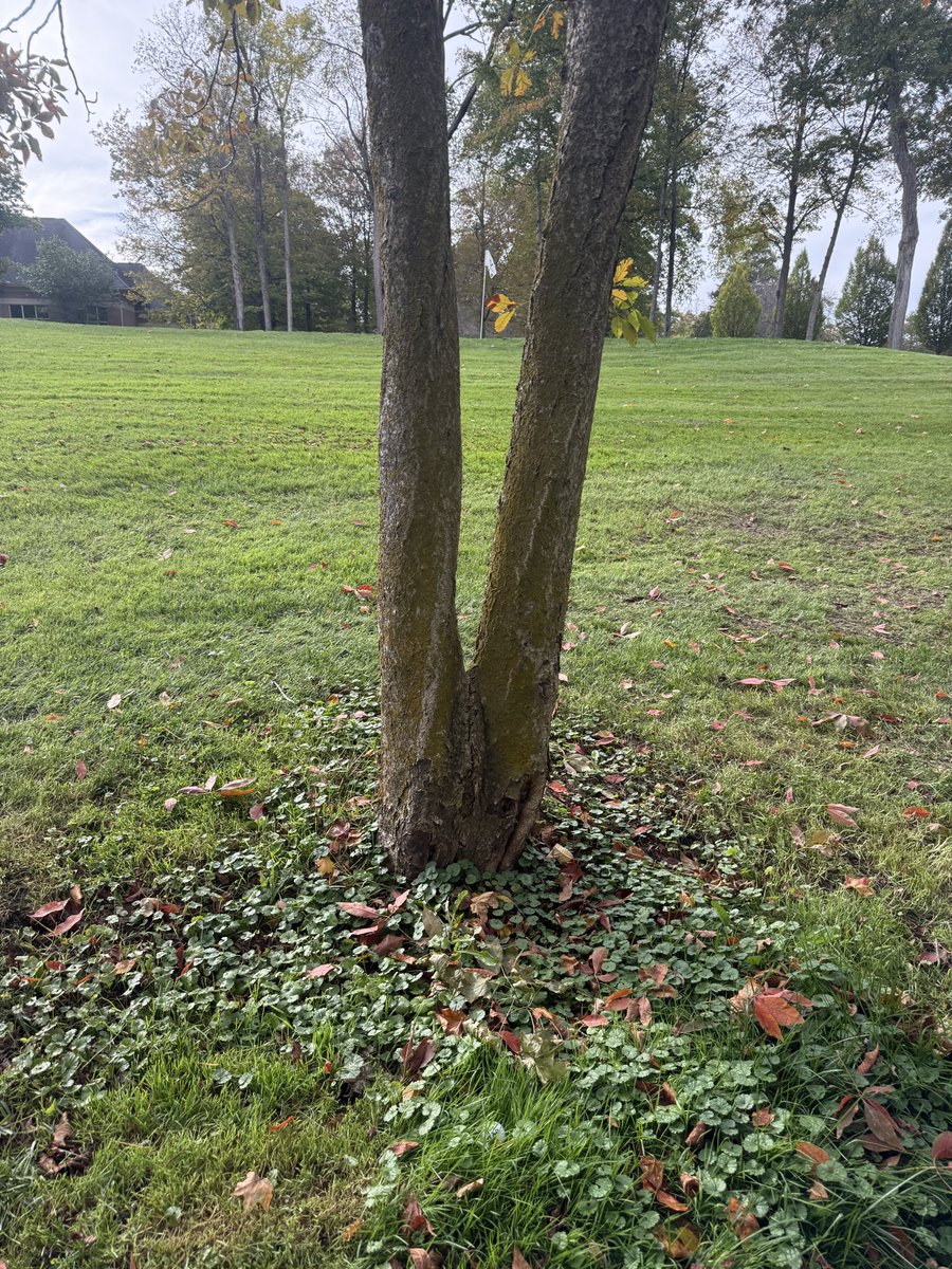 The Club Hoarder tweet media