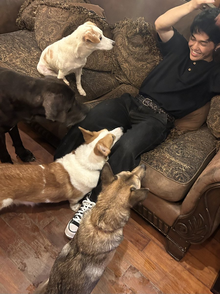 辰樹 -tatsuki- tweet media