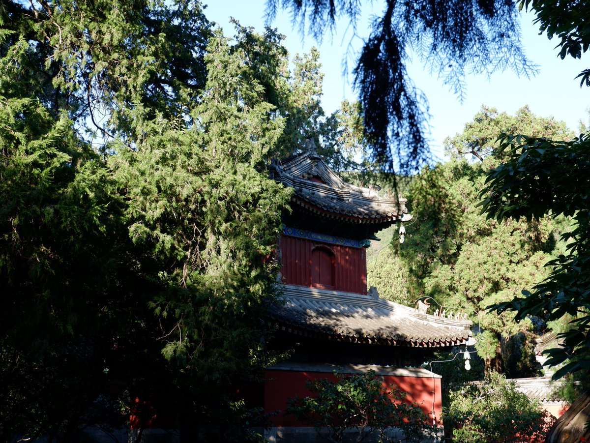 キラ·豚🐡 tweet media