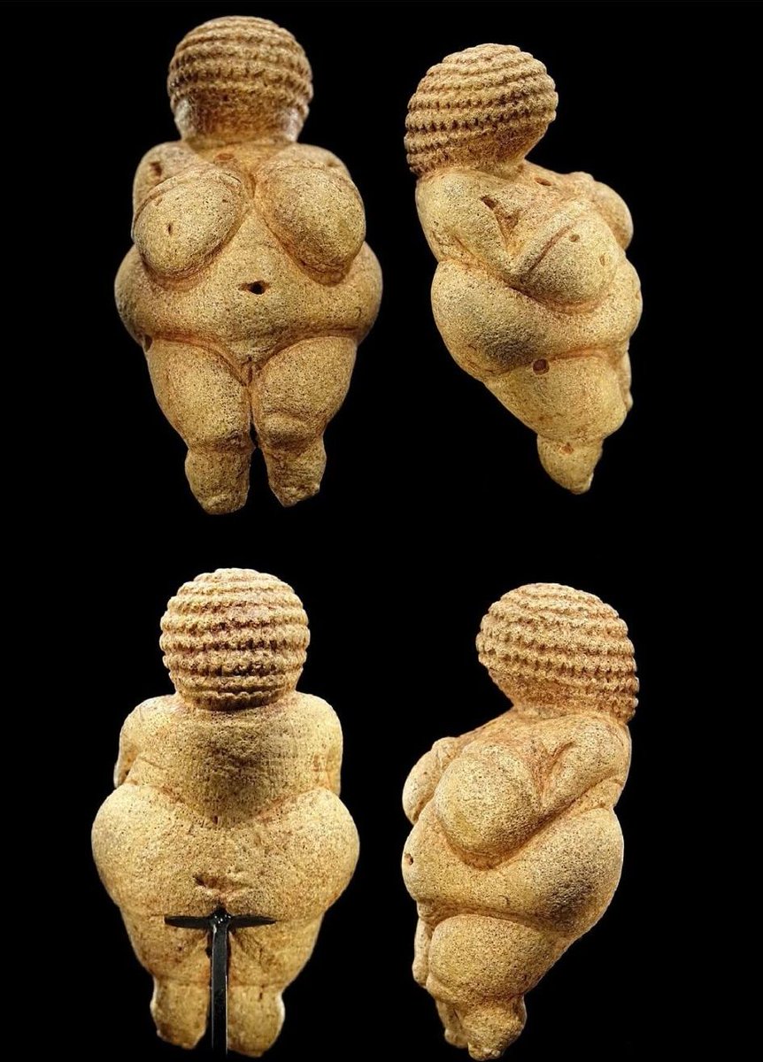 She’s 30,000 years old, yet still defies definition.
The Venus of Willendorf—was she a goddess, a mother, or humanity’s first idea of beauty?
Our ancestors carved her from distant stone and painted her in red ochre—why?
