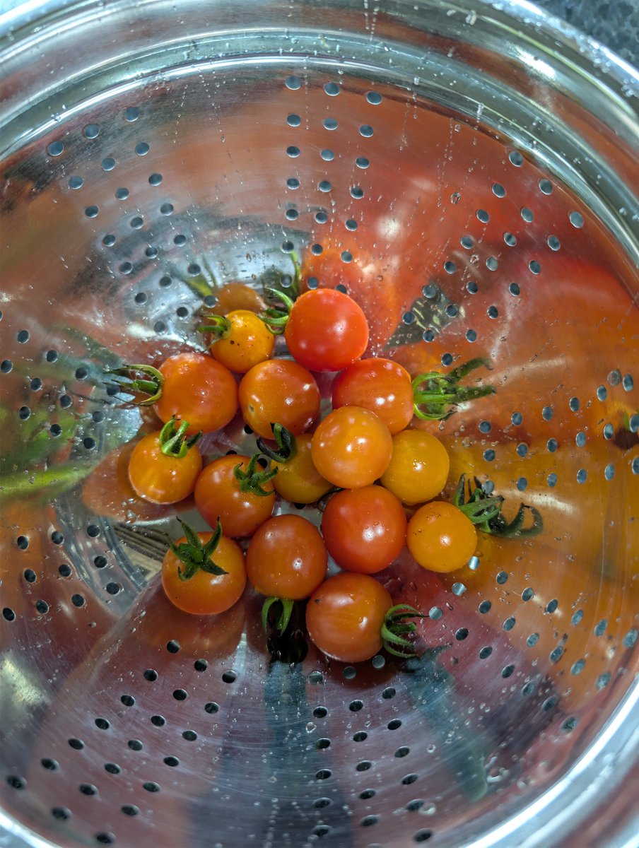 Sᴏᴜᴛʜᴇʀɴ ᴇɴɢʟᴀɴᴅ ᴡᴇᴀᴛʜᴇʀ tweet media