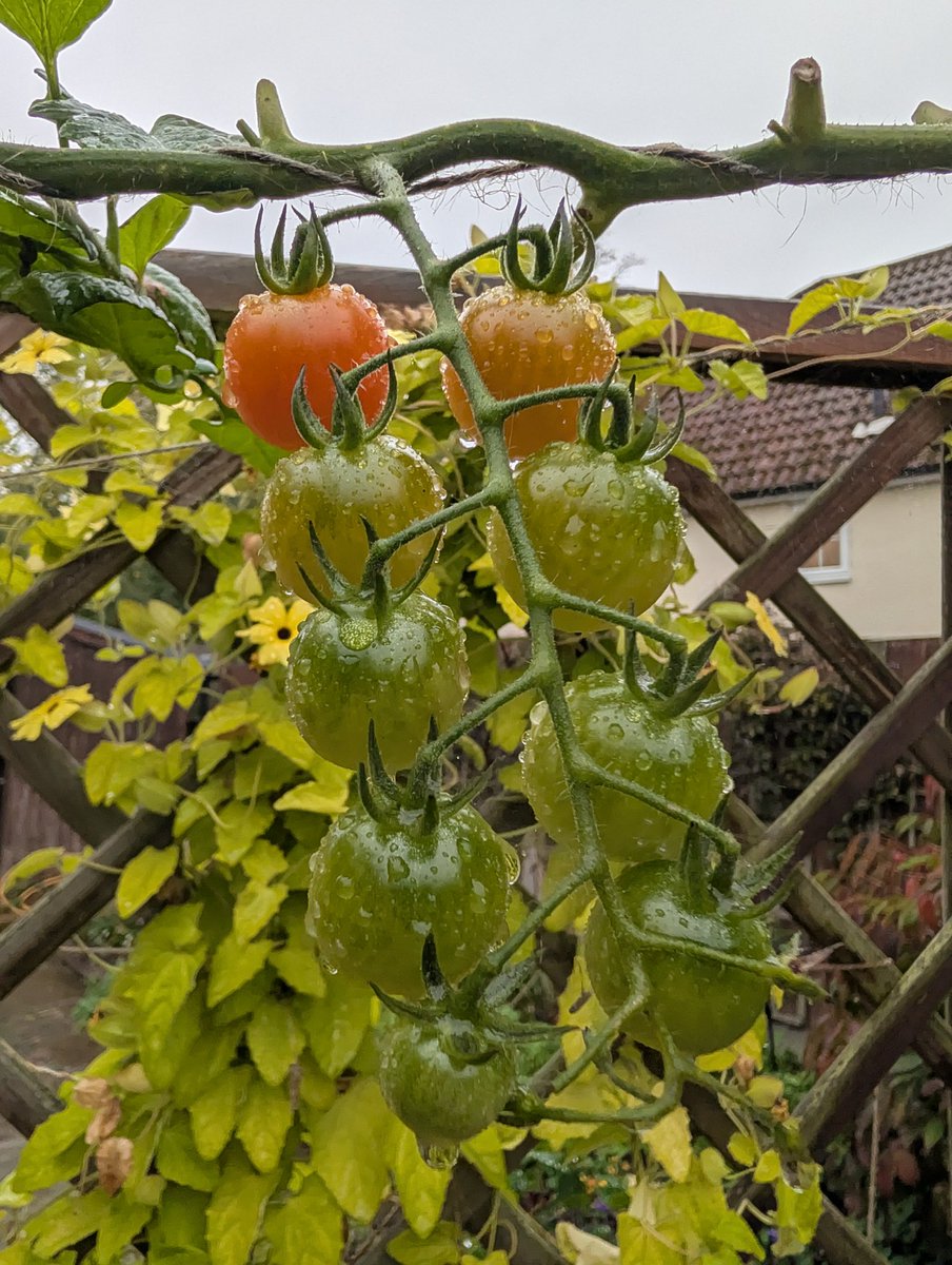 Sᴏᴜᴛʜᴇʀɴ ᴇɴɢʟᴀɴᴅ ᴡᴇᴀᴛʜᴇʀ tweet media